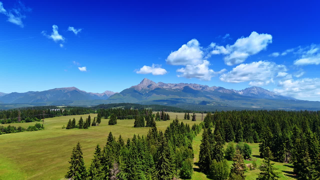 Picturesque valley with pine trees growing on. Stunning Tatra mountains at backdrop. Drone footage