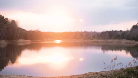 Paar-Läuft-Im-Wald