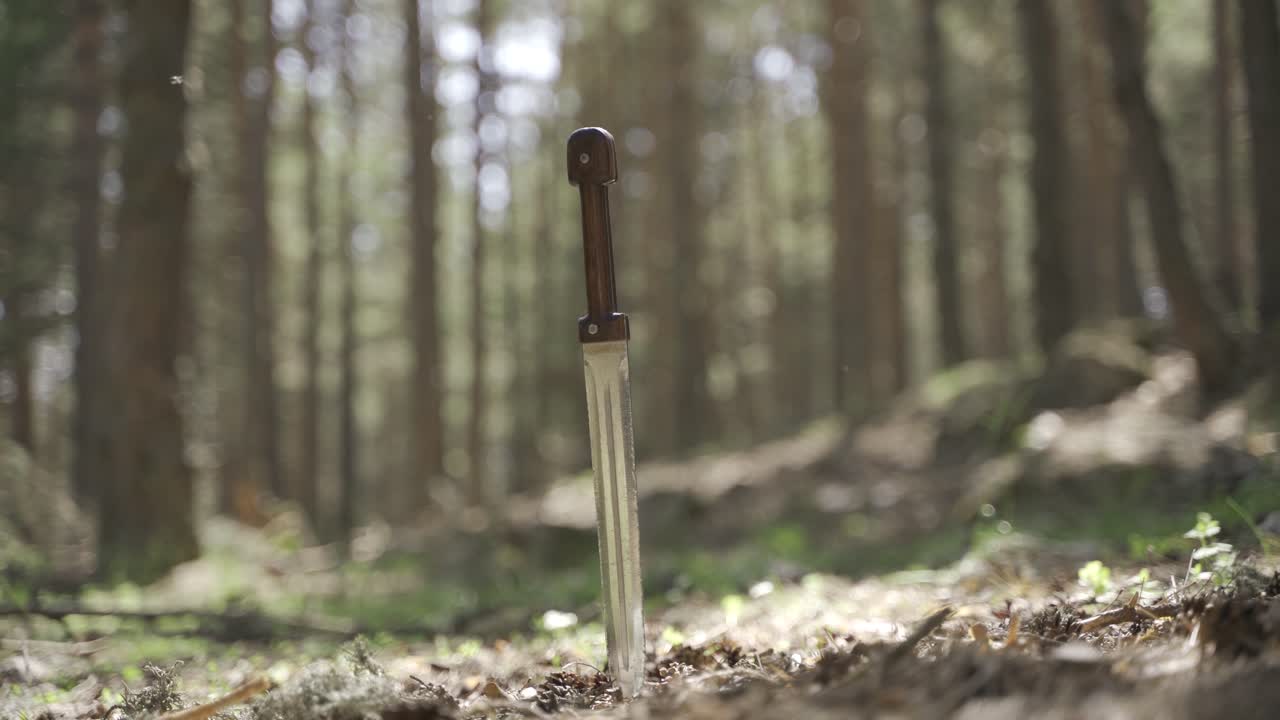 espada histórica de hierro forjado.