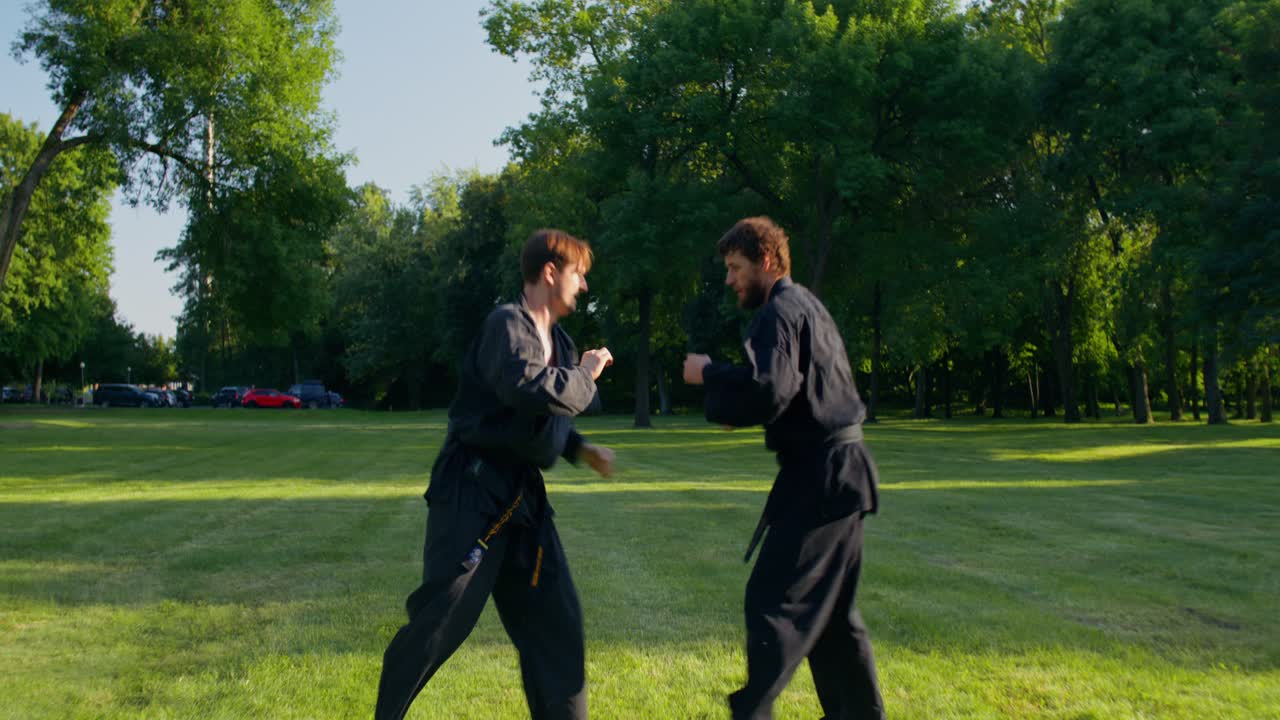 Combattimenti di arti marziali nel parco