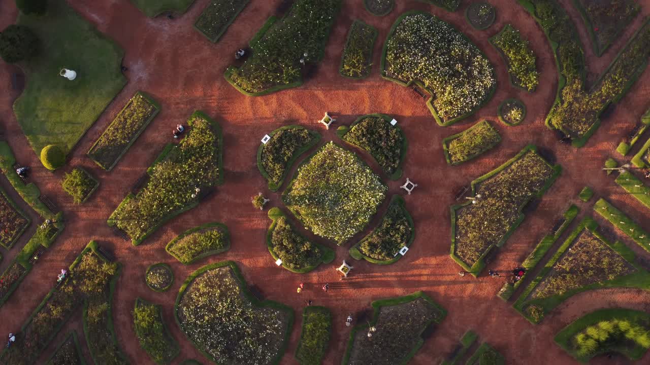 정원에서 대칭 모양의 하향식 보기