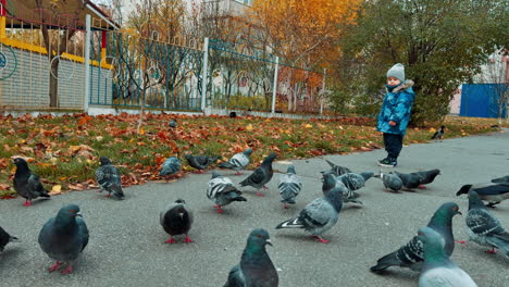 adorable baby stands watching the group of pigeons walking by the ground. lovely kid runs to the birds scaring them off.