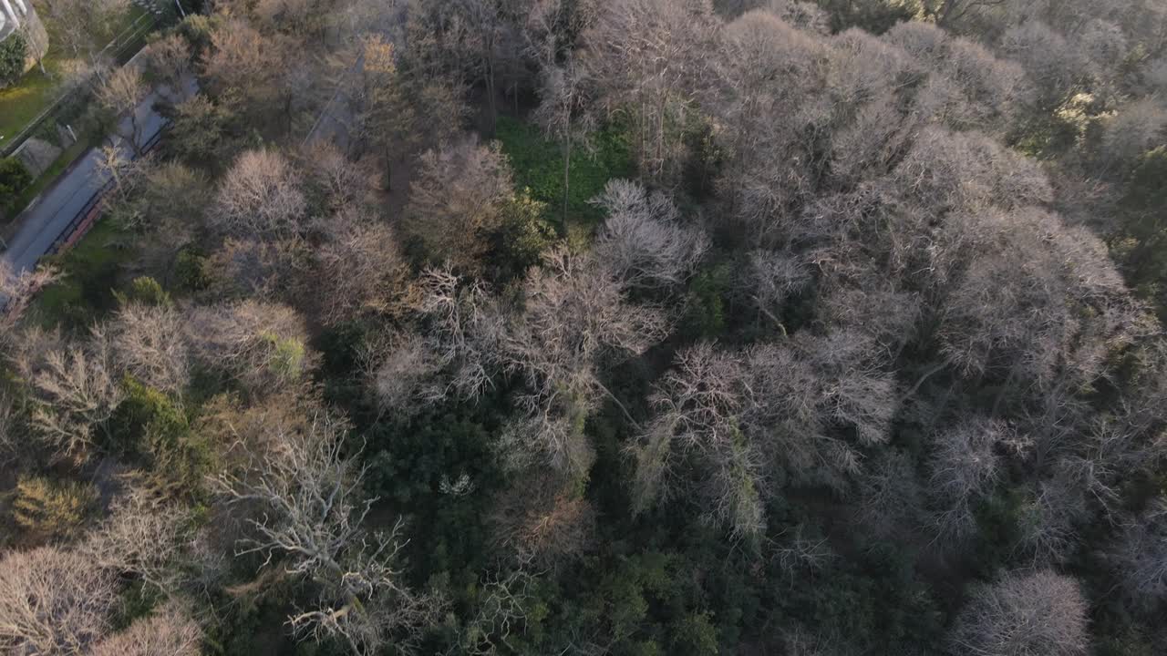 히디브 파빌리온 항공 영상 베이코즈 이스탄불 터키