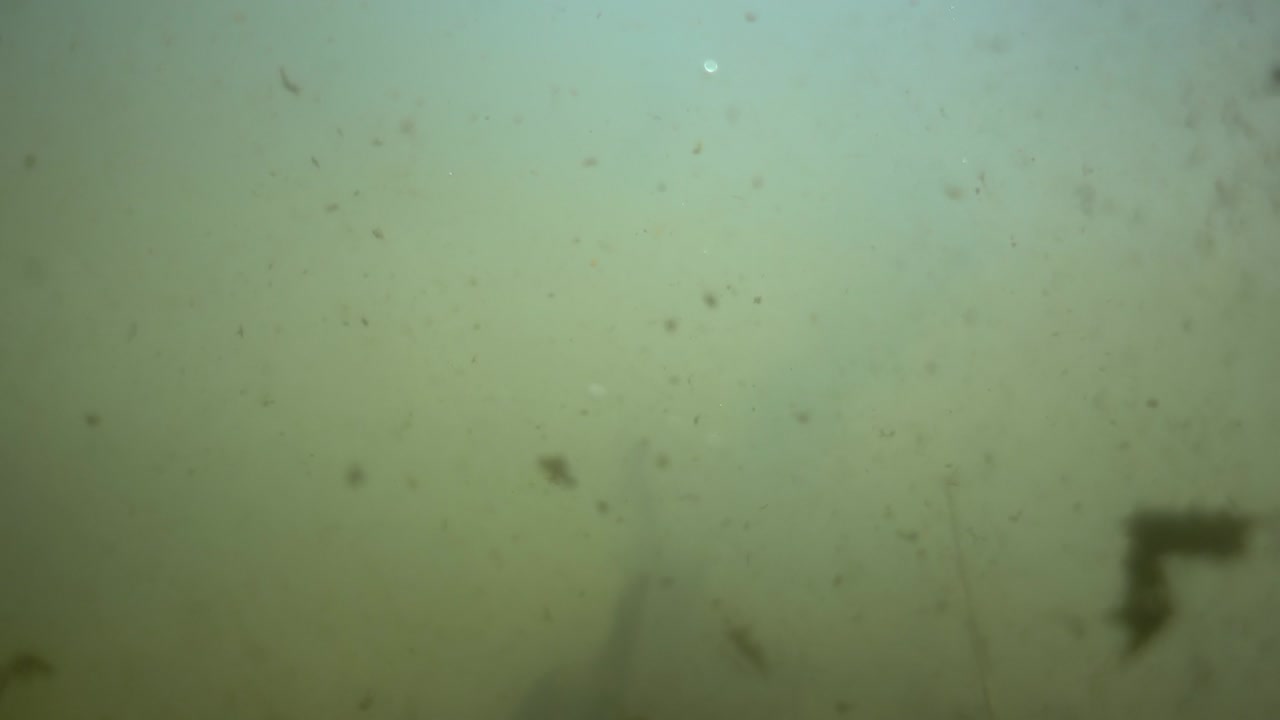 호수의 물 속의 입자들이 회전합니다.