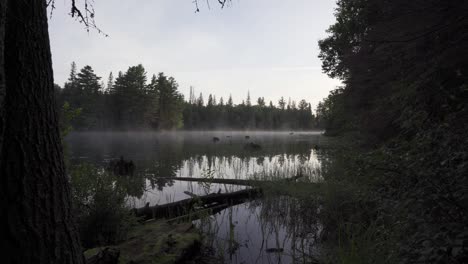 Vapor-Que-Sube-En-Un-Lago-Al-Amanecer,-Hermoso-Paisaje-Rural