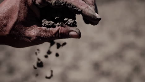inspecting dry soil