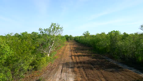 Drone-Aéreo-De-Un-Bloque-Vacante-De-Propiedad-Inmobiliaria-Rural-Dolly-A-Lo-Largo-De-Un-Camino-De-Tierra-Pasando-Por-árboles-Que-Proyectan-Sombra