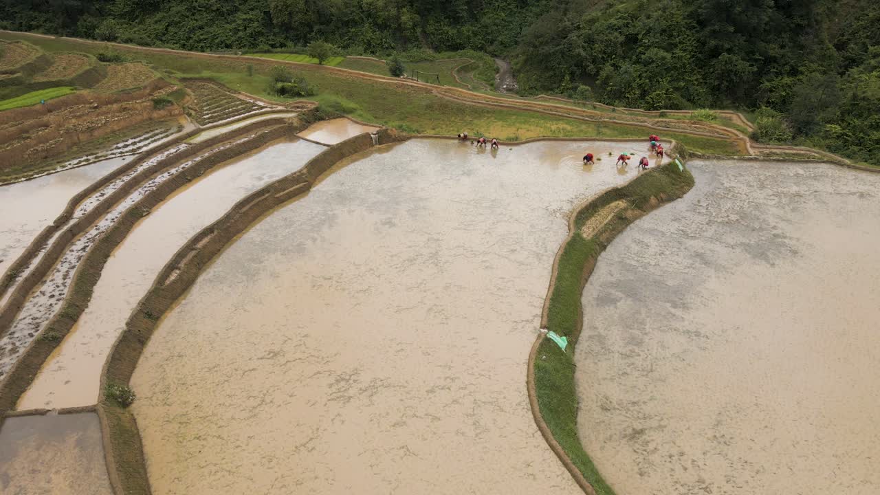 People working in terraced rice paddies