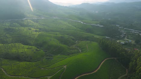 tomada aérea de drones de las encantadoras fincas de té de munnar con majestuosas colinas en el fondo