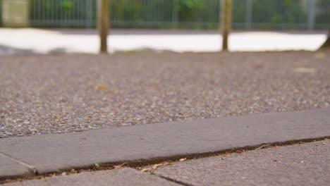 close-up de una mujer con zapatos de entrenamiento haciendo ejercicio corriendo a lo largo del pavimento de la calle de la ciudad