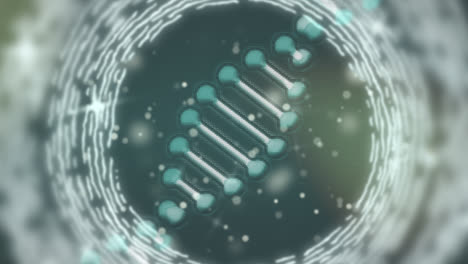 animation of spinning dna structure and glowing light spots against green background