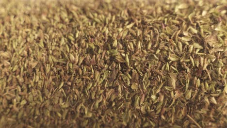 vertical shot of green organic oregano herbs on turntable platform