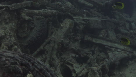 Ss-Thistlegorm-Es-Uno-De-Los-Naufragios-Más-Famosos-Del-Mundo-Que-Transportaba-Equipo-Militar-Durante-La-Segunda-Guerra-Mundial,-Atrae-A-Muchos-Buzos-Por-La-Cantidad-De-Carga-Que-Se-Puede-Ver-Y-Explorar