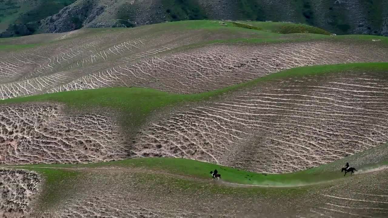 el hermoso paisaje de pastizales de xinjiang, china, caballos de rebaño
