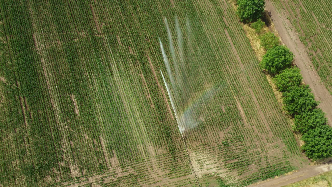 Aerial View of Irrigating Cornfield