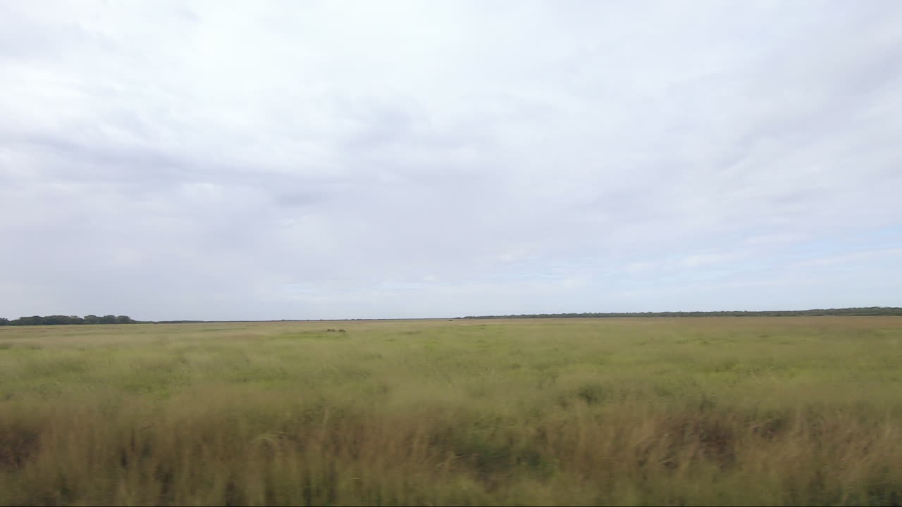 POV fra kørende køretøj fra højre mod venstre på skærmen langs vådområder i Kakadu Nationalpark