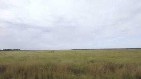 POV-from-moving-vehicle-right-to-left-of-screen-along-wetlands-Kakadu-National-Park