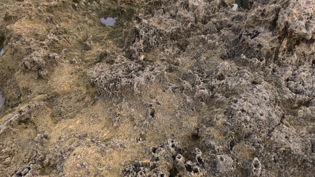 скалистая прибрежная зона с видимой эрозией и ракушками