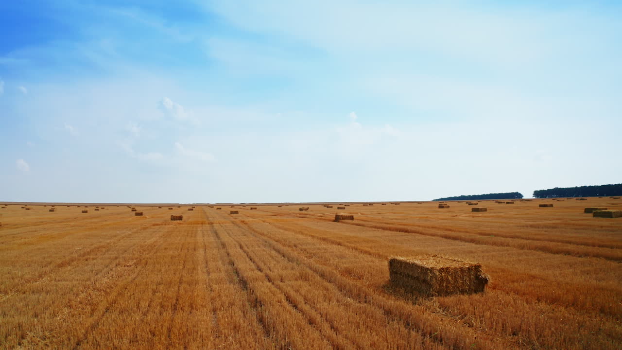 Hay bales in a field under a partly cloudy sky