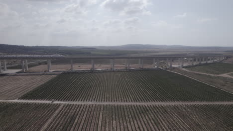 Toma-Aérea-De-Drones-De-Pasos-De-Tren-En-Un-Enorme-Puente-Ferroviario-Sobre-Campos-Agrícolas-Y-Viñedos---Empuje-En-Revelación