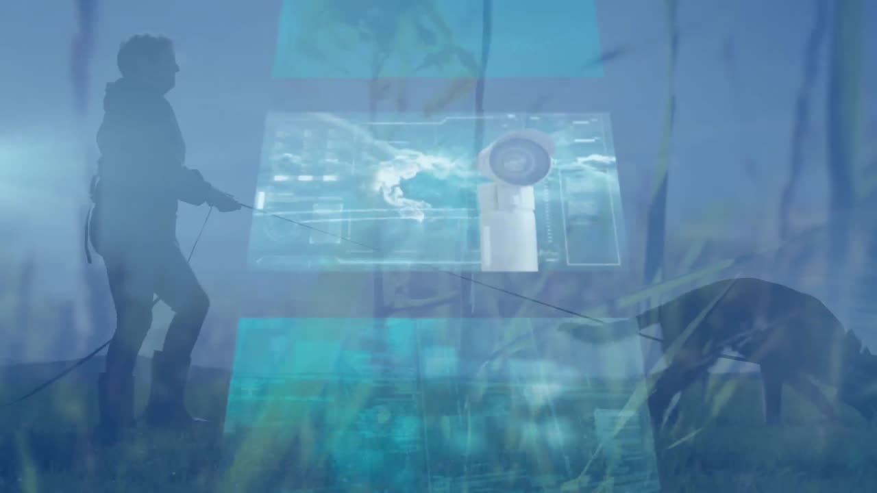 개와 풍경을 가진 여자 위의 화면에서 데이터 처리의 애니메이션