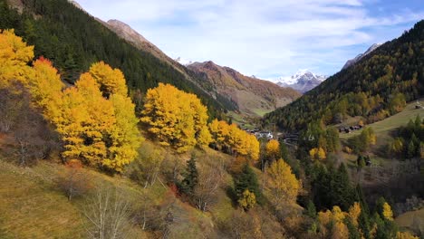 autumn view of larch forest in switzerland, with a town, mountains, snow peak and a river on the background