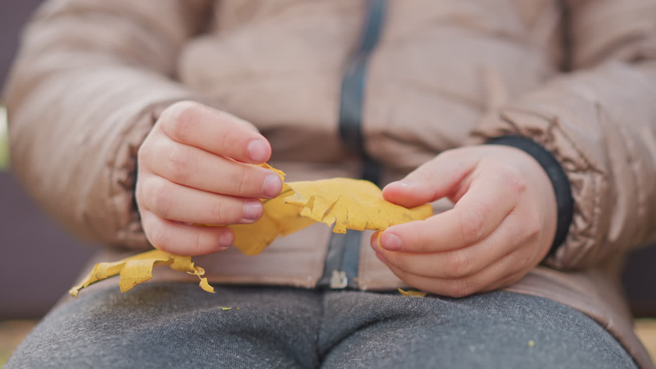 close up of small child hands gently holding crisp yellow autumn leaf on lap, delicate fingers exploring leaf veins seated on rustic park bench, soft fall light casting warm ambience around