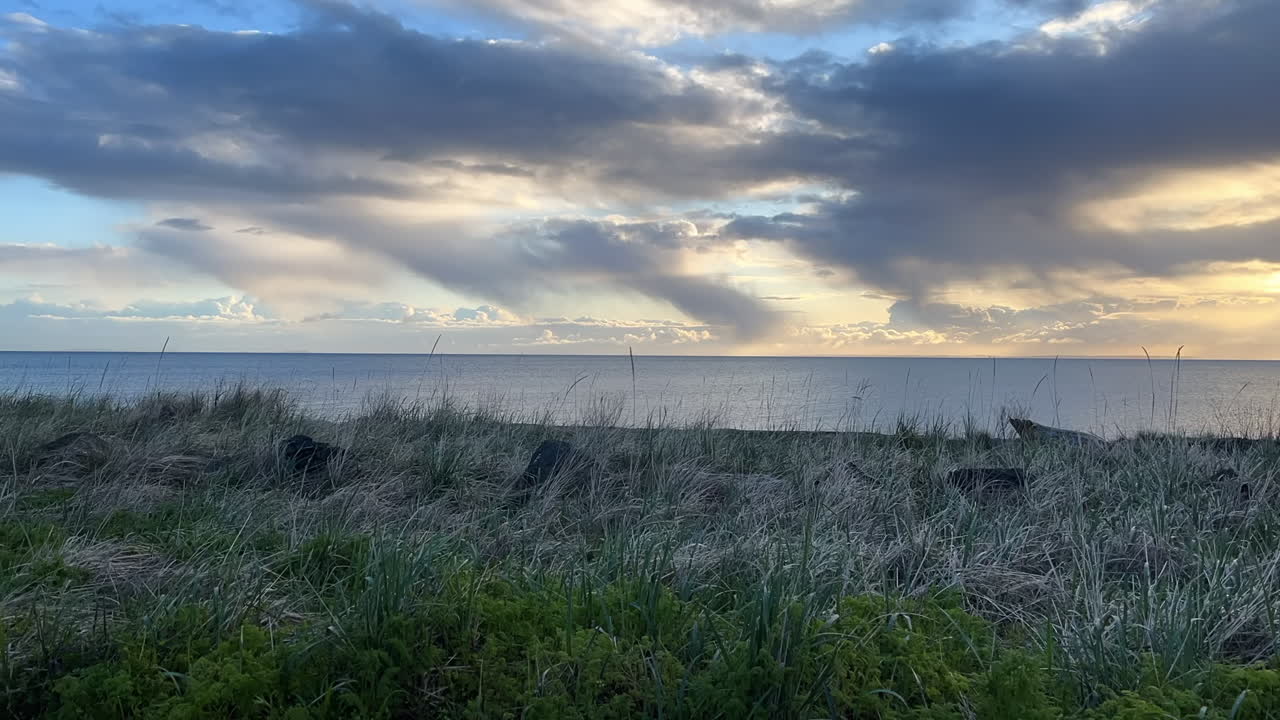 미국 워싱턴 주 하로 해협을 바라보는 올림픽 반도에서 볼 때 일몰 시의 바다경관 시간 경과