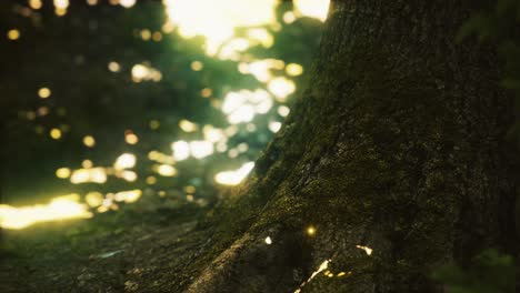 fantasy firefly lights in the magical forest