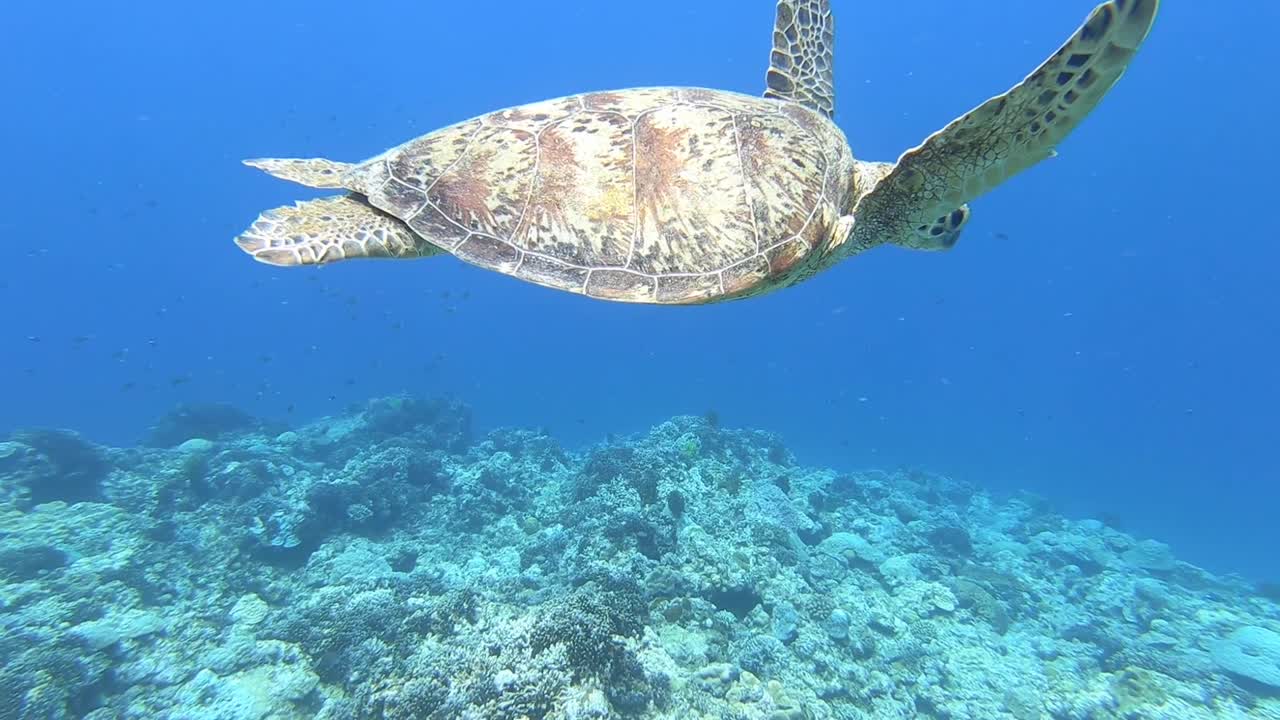 Okinawa Island, Japan