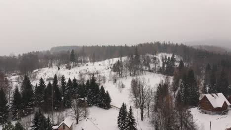 Winter-Przesieka-Gebirge-Polen-Europa