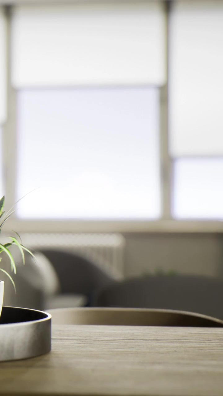 Living room scene with plant and lamp in bright indoor space during day
