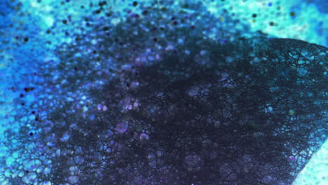 abstract microscopic network structure