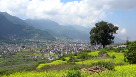 Una-Hermosa-Vista-De-Los-Campos-De-Mostaza-De-Color-Amarillo-Brillante-Con-Una-Ciudad-Y-Las-Estribaciones-Del-Himalaya-En-El-Fondo