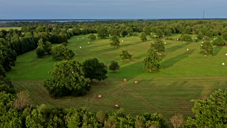 Flying-close-by-a-field-covered-in-oak-trees