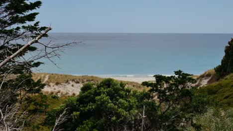 Vista-Panorámica-De-La-Playa-Tropical-Con-Agua-Azul-Del-Océano-Durante-La-Caminata-En-La-Pista-De-Te-Whara-En-Nueva-Zelanda---Vista-Entre-Las-Plantas-Y-La-Hierba-En-Verano