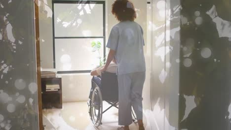 animation of leaves over diverse doctor and patient sitting in wheelchair