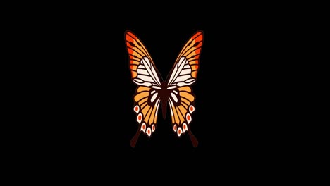 the orange butterfly boasts vibrant orange wings, often adorned with black or white patterns.