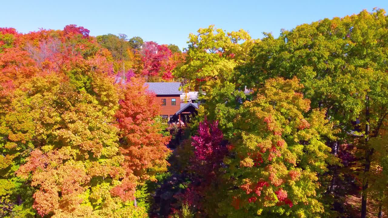 Autumn trees in Estrie, Québec with vibrant colors and cozy seasonal vibes
