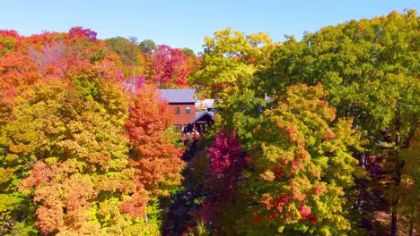 autumn trees in estrie, québec with vibrant colors and cozy seasonal vibes