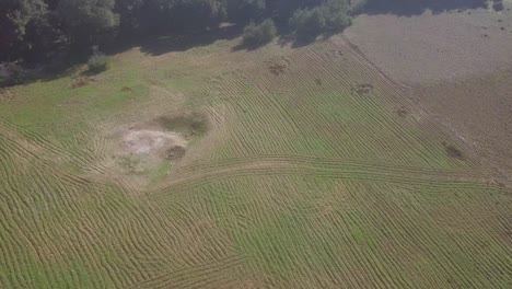 dar vida a sus proyectos con la esencia de este impresionante paisaje