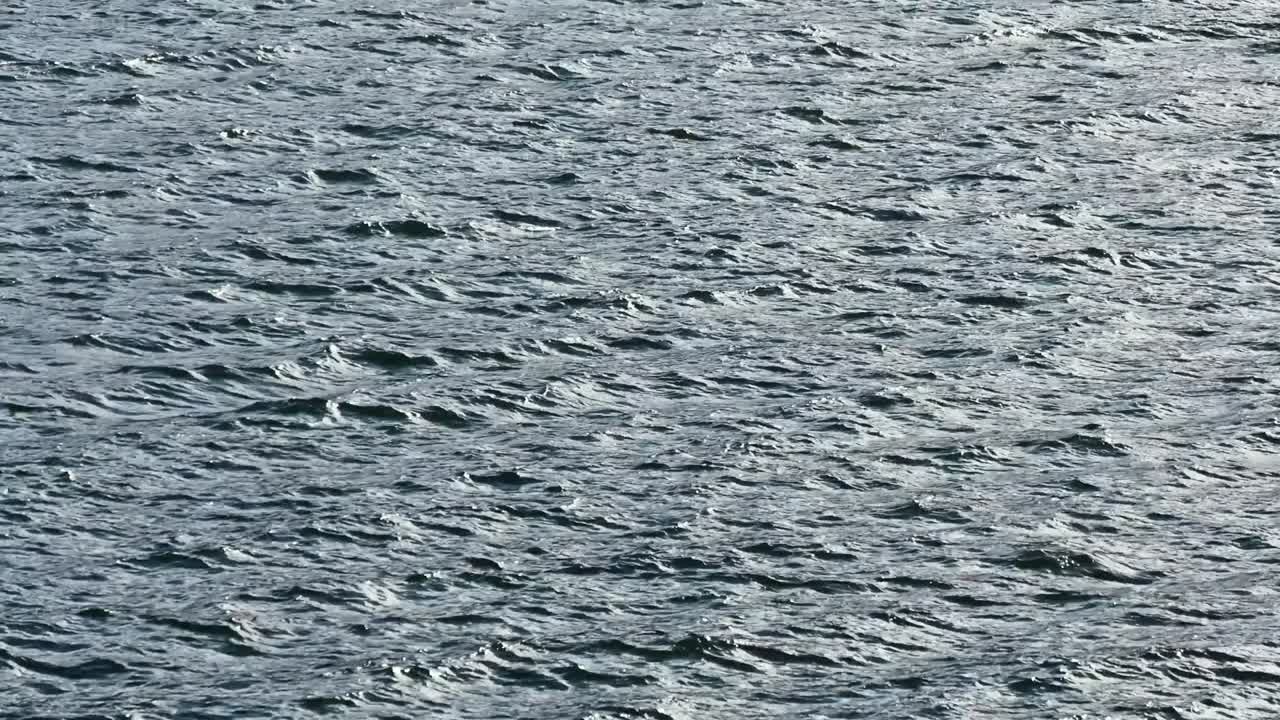 대조적인 빛 속에서 반이는 파동의 미세한 패턴.