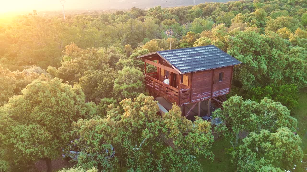 Flyfoto av trehytte i frodig grønn skog ved solnedgang, et fredelig naturtilfluktssted og konsept for økologisk livsstil.