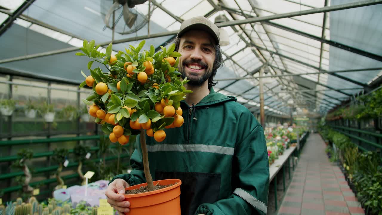 el horticultor feliz: mostrando tesoros botánicos en la tienda de plantas