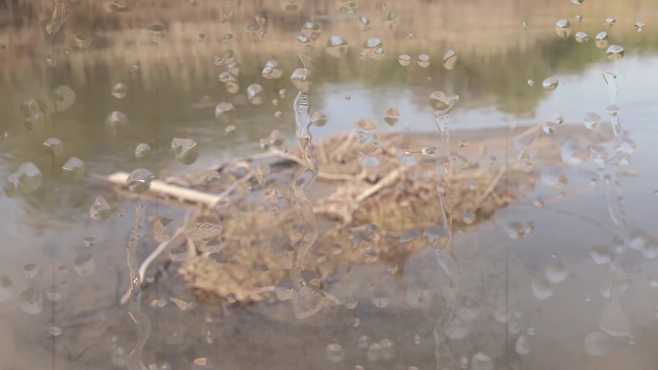 젖은 유리창을 통해 나라를 흐르는 강을 바라보다