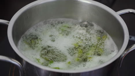 cactus mexicano cocinando en agua hirviendo