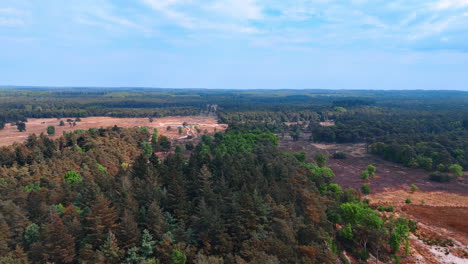 dutch nature landscape showcase. sweeping views of the netherlands reveal a blend of lush forests, open fields, and serene nature under a clear sky