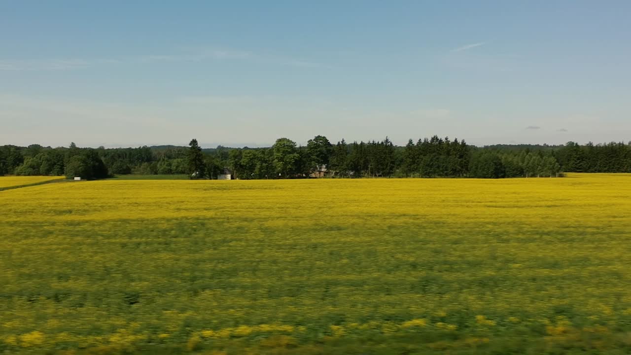 una toma aérea lateral volando sobre una cubierta de flores amarillas, pasando cerca de forraje envuelto en plástico y en una carretera