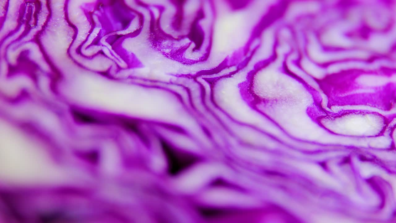 Makrobillede af tekstur fra en skive rødkål som baggrund