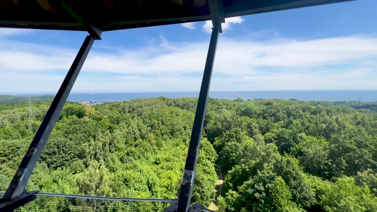 Un'ampia inquadratura cinematografica da un'alta piattaforma di osservazione che si affaccia su una fitta chioma di foresta verde che si estende fino all'orizzonte blu dell'oceano sotto un cielo estivo luminoso